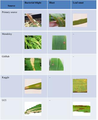 A novel fine-tuned deep-learning-based multi-class classifier for severity of paddy leaf diseases